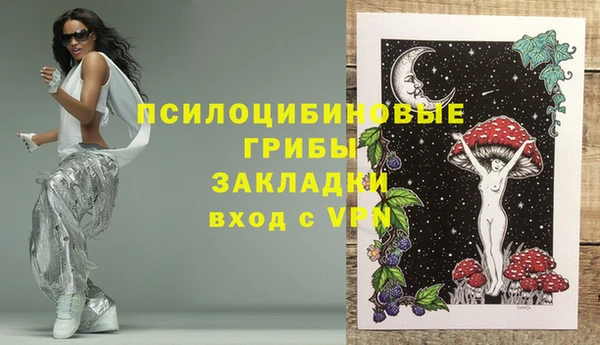 герыч Алексин
