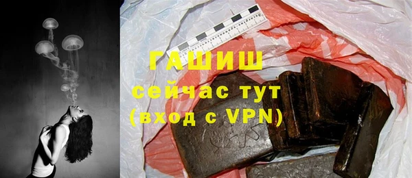 герыч Алексин