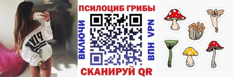 где купить наркотик omg вход Галлюциногенные грибы Psilocybe Сухиничи